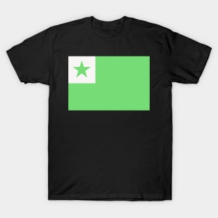 Paŝtelkolora Esperanto-flago T-Shirt